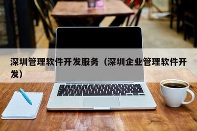 深圳管理軟件開(kāi)發(fā)服務(wù) 滿(mǎn)足現(xiàn)代企業(yè)需求的全面解決方案